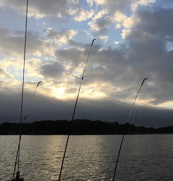Morning Made for Fishing